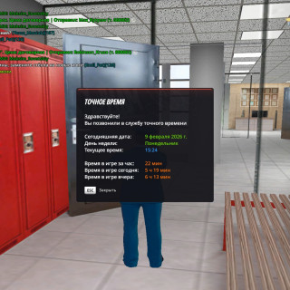 radmir-2026-02-09-17_24-09