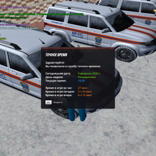 radmir-2026-02-09-17_29-13