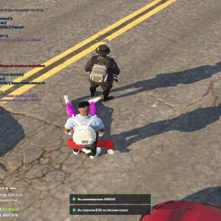 271590_20260215192544_1