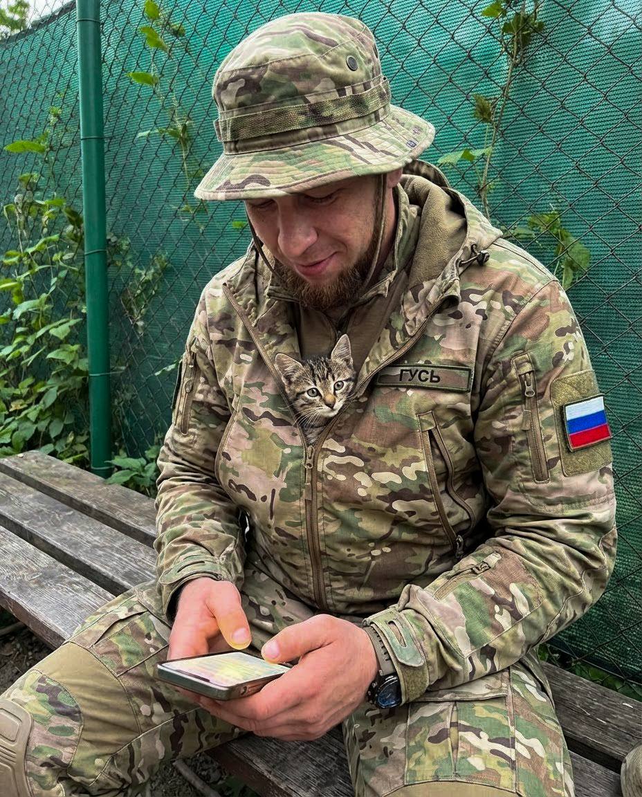 Милитаристический контраст между солдатом...
