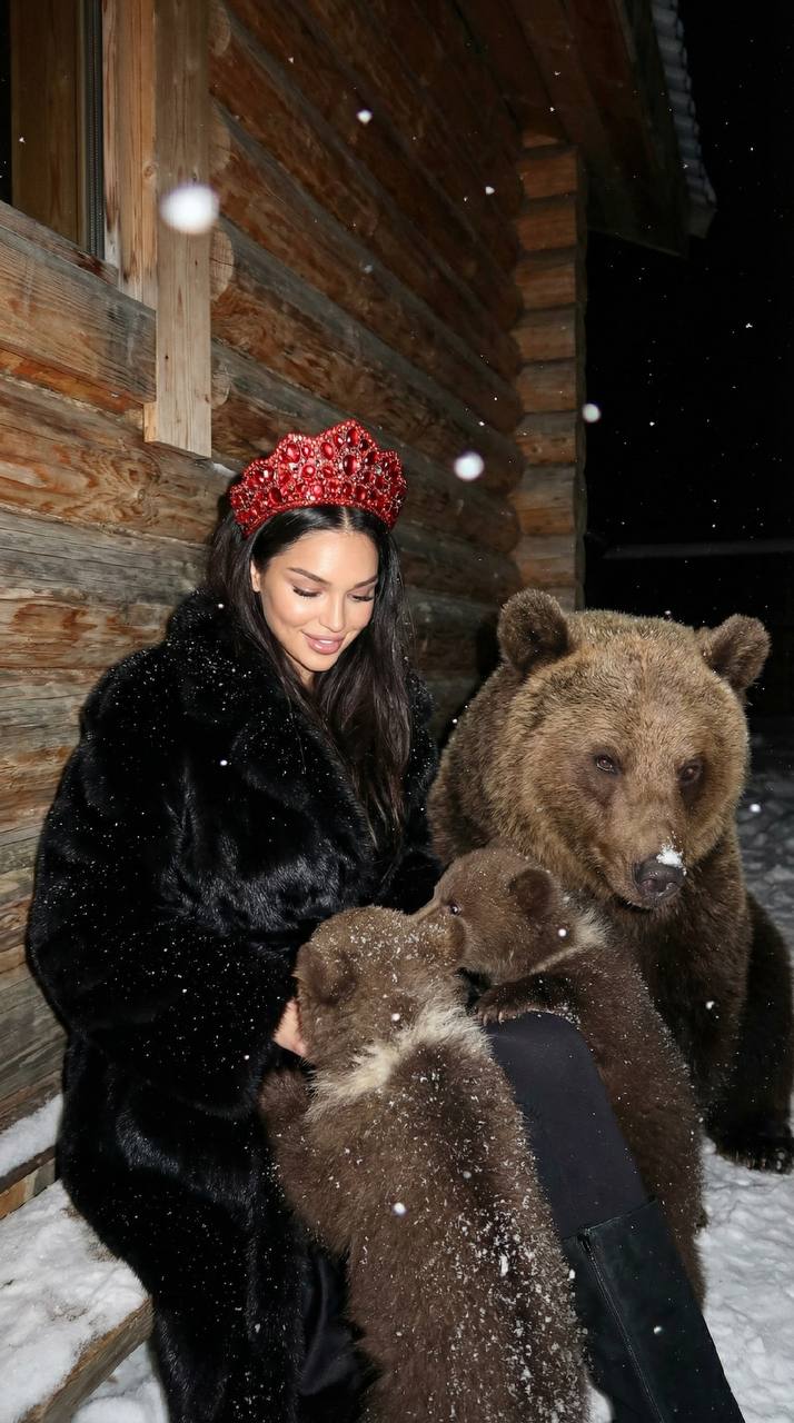 Зимняя сказка с медведями
