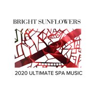 Pure Healing Spa - Spa Music Paradise & Gold Spa Melodies