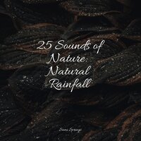 Splashing Drops - Spa & Brain Study Music Guys & Massagem Guru