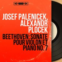 Sonate pour violon et piano No. 7 in C Minor, Op. 30 No. 2: I. Allegro con brio - Josef Páleníček & Alexandr Plocek & Josef Páleníček, Alexandr Plocek & Ludwig van Beethoven