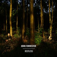 Dream of Home - John Forrester