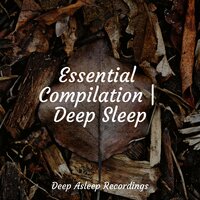 Fluttering Mind - Ambient Nature White Noise & Rain Man Sounds & White Noise Sleep Sounds