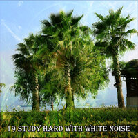 Громкие ночи - White Noise for Babies