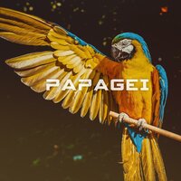 Papagei - Lima