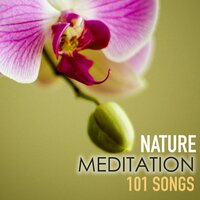 Swedish Massage - Spa Music Relaxation Meditation