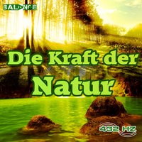 Entspannung am Kaminfeuer - 432 Hz