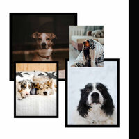Ambience - Doggy Meal Time - Dog Jazz Sounds