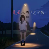 爱是没有归途的路 - 张崇赞