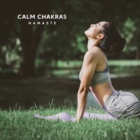 Gentle Stillness - Namaste