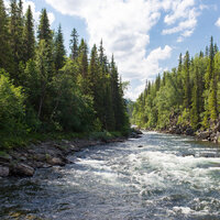 Relaxing Rain on the River - Water Sounds for Sleep & Water Soundscapes & Fresh Water Sounds