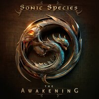 Valley of Stevie - Astrix & Ace Ventura & Sonic Species