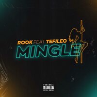 Mingle - Rook & Tefileo