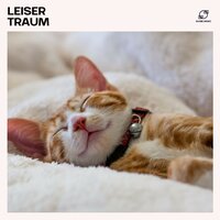Zustand Traum - Musik zum Einschlafen & Einschlafmusik & Musik zum Schlafen & Schlafmusik