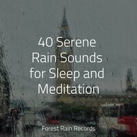 Fire Kindling - Rain Sounds Rain & Sound of Rain & Meditation Zen