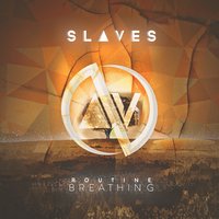 Why Fit in When You Can Stand Out? - Slaves