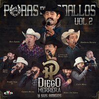 Bayo Cara Blanca - Diego Herrera & Beto Zapata