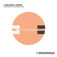 Nothing for Something - LeBaron James