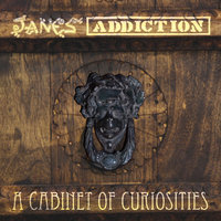 1% - Jane's Addiction