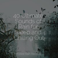 Strong Rain Vietnam - Best Kids Songs & Zona Música Relaxante & Sound of Rain