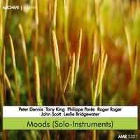 Bluesy Flute - John Scott