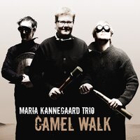 Sliding Doors - Maria Kannegaard Trio