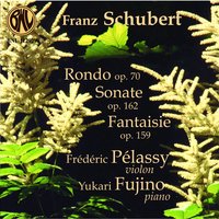 Sonate pour violon et piano, Op. 162, D 574: I. Allegro moderato - Frédéric Pélassy & Yukari Fujino & Франц Шуберт
