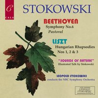 Symphony No. 6 in F Major, Op. 68, "Pastoral": IV. Allegro - NBC Symphony Orchestra & Ludwig van Beethoven