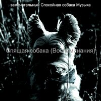 Звуки (Расслабляющие собаки) - замечательный Спокойная собака Музыка