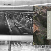 The Bielefeld Conspiracy - Montano