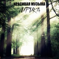 Лирика - Красивая музыка