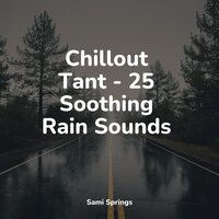 Seagulls on the Beach (Relaxing Ocean Waves) - Exam Study Classical Music & Healing Sounds for Deep Sleep and Relaxation & Spa Music Relaxation