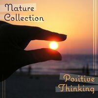 Rain on the Window - Zen Natural Sounds