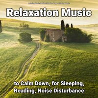 Therapeutic Harmony - Relaxing music & Yoga & Relaxing Music by Sibo Edwards
