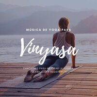 Flexibilidad y Resistencia - Yoga Oasis