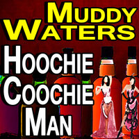 Forty Days & Forty Nights - Muddy Waters