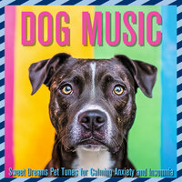 Drift to Dreams - Dog Music Dreams & Relax My Dog