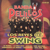 Levantando Las Manos - Banda Pelillos