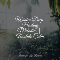 Ambient Noise - Study Music & Internal Yoga & Tinnitus