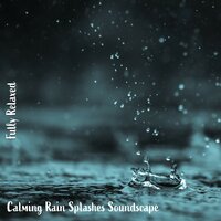 Calming Rain Splashes Soundscape, Pt. 16 - Steve Brassel