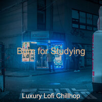 Mood for Studying - Chillhop - Luxury Lofi Chillhop