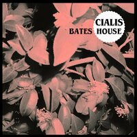 Bates House - Cialis