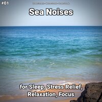 Sea Noises Pt. 47 - Ocean Currents & Nature Sounds & Ocean Sounds