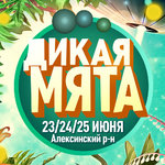 Дикая Мята 2017