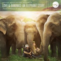 Elephant Animation - Ian Hultquist & Sofia Hultquist