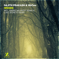 Woods - SAJITH PRAKASH & WeTwo & Andrei Niconoff