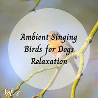Sakata Bug Sound - Nature's Noise & Native American Nature & Study Academy